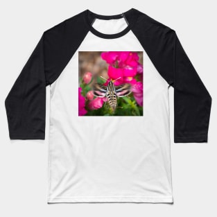 Hummingbird Moth in Motion Baseball T-Shirt